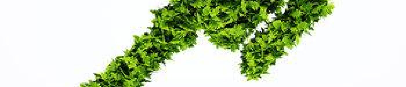 droit-de-l-environnement-59b7d33587c17